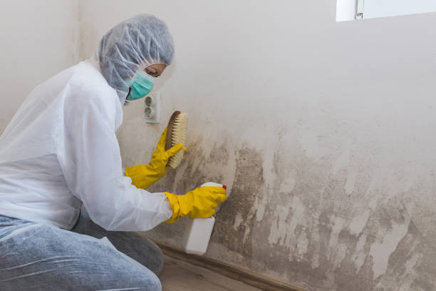 Best Air Quality Testing for Mold Spores  in Bowmansville, PA