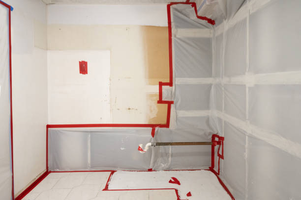 Best Mold Documentation for Insurance Claims  in Bowmansville, PA