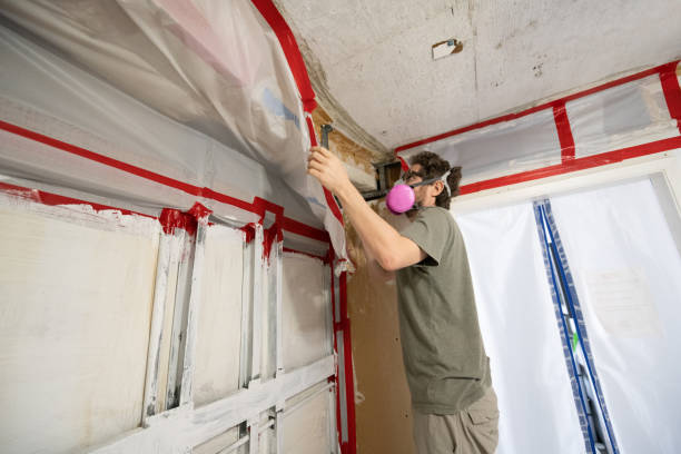 Best Mold Removal for HVAC Installations  in Bowmansville, PA