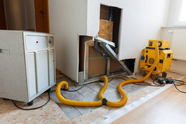 Best Airborne Mold Testing  in Bowmansville, PA