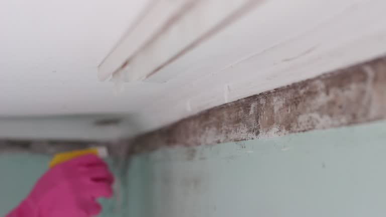 Best Mold Removal for HVAC Installations  in Bowmansville, PA